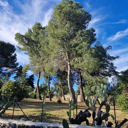 Δωμάτια σε οικογενειακή κατοικία Dar Pietru *